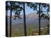 View of Pyramid Mountain Through Trees, Jasper National Park, UNESCO World Heritage Site, British C-Martin Child-Stretched Canvas