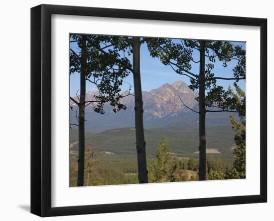 View of Pyramid Mountain Through Trees, Jasper National Park, UNESCO World Heritage Site, British C-Martin Child-Framed Photographic Print