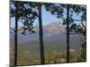 View of Pyramid Mountain Through Trees, Jasper National Park, UNESCO World Heritage Site, British C-Martin Child-Mounted Photographic Print