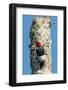 View of Red-Headed Woodpecker-Gary Carter-Framed Photographic Print