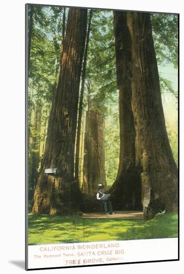 View of Redwood Twins at Big Tree Grove - Santa Cruz, CA-Lantern Press-Mounted Art Print