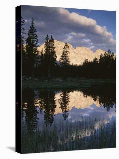 View of Reflecting Mountain in Bear River, High Uintas Wilderness, Utah, USA-Scott T. Smith-Stretched Canvas