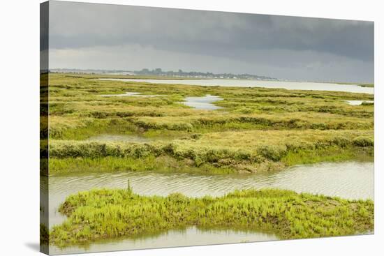 View of Regenerated Saltmarsh Landscape at High Tide, Essex, England, UK, July-Terry Whittaker-Stretched Canvas