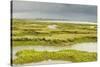 View of Regenerated Saltmarsh Landscape at High Tide, Essex, England, UK, July-Terry Whittaker-Stretched Canvas