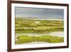 View of Regenerated Saltmarsh Landscape at High Tide, Essex, England, UK, July-Terry Whittaker-Framed Photographic Print