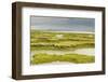 View of Regenerated Saltmarsh Landscape at High Tide, Essex, England, UK, July-Terry Whittaker-Framed Photographic Print