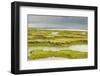 View of Regenerated Saltmarsh Landscape at High Tide, Essex, England, UK, July-Terry Whittaker-Framed Photographic Print