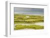 View of Regenerated Saltmarsh Landscape at High Tide, Essex, England, UK, July-Terry Whittaker-Framed Photographic Print