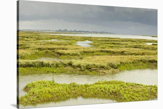 View of Regenerated Saltmarsh Landscape at High Tide, Essex, England, UK, July-Terry Whittaker-Stretched Canvas