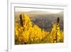 View of Riquewihr and Vineyards in Autumn, Riquewihr, Alsace, France, Europe-Miles Ertman-Framed Photographic Print