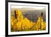 View of Riquewihr and Vineyards in Autumn, Riquewihr, Alsace, France, Europe-Miles Ertman-Framed Photographic Print