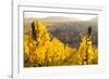 View of Riquewihr and Vineyards in Autumn, Riquewihr, Alsace, France, Europe-Miles Ertman-Framed Photographic Print