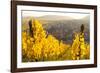 View of Riquewihr and Vineyards in Autumn, Riquewihr, Alsace, France, Europe-Miles Ertman-Framed Photographic Print
