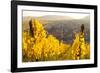 View of Riquewihr and Vineyards in Autumn, Riquewihr, Alsace, France, Europe-Miles Ertman-Framed Photographic Print