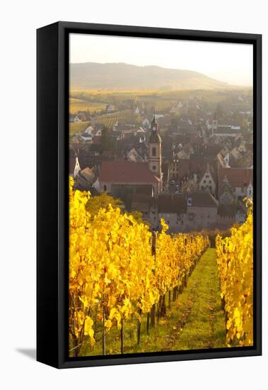 View of Riquewihr and Vineyards in Autumn, Riquewihr, Alsace, France, Europe-Miles Ertman-Framed Stretched Canvas