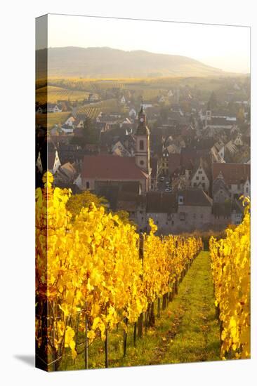 View of Riquewihr and Vineyards in Autumn, Riquewihr, Alsace, France, Europe-Miles Ertman-Stretched Canvas