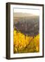 View of Riquewihr and Vineyards in Autumn, Riquewihr, Alsace, France, Europe-Miles Ertman-Framed Photographic Print