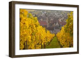 View of Riquewihr and Vineyards in Autumn, Riquewihr, Alsace, France, Europe-Miles Ertman-Framed Photographic Print
