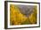 View of Riquewihr and Vineyards in Autumn, Riquewihr, Alsace, France, Europe-Miles Ertman-Framed Photographic Print