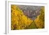 View of Riquewihr and Vineyards in Autumn, Riquewihr, Alsace, France, Europe-Miles Ertman-Framed Photographic Print