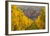 View of Riquewihr and Vineyards in Autumn, Riquewihr, Alsace, France, Europe-Miles Ertman-Framed Photographic Print