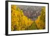 View of Riquewihr and Vineyards in Autumn, Riquewihr, Alsace, France, Europe-Miles Ertman-Framed Photographic Print