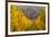 View of Riquewihr and Vineyards in Autumn, Riquewihr, Alsace, France, Europe-Miles Ertman-Framed Photographic Print