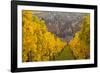 View of Riquewihr and Vineyards in Autumn, Riquewihr, Alsace, France, Europe-Miles Ertman-Framed Photographic Print