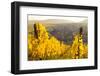 View of Riquewihr and Vineyards in Autumn, Riquewihr, Alsace, France, Europe-Miles Ertman-Framed Photographic Print