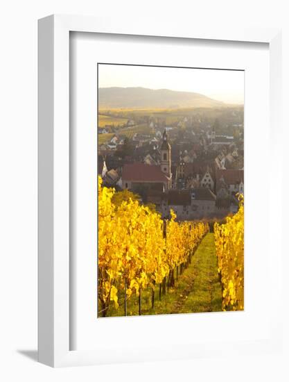 View of Riquewihr and Vineyards in Autumn, Riquewihr, Alsace, France, Europe-Miles Ertman-Framed Photographic Print