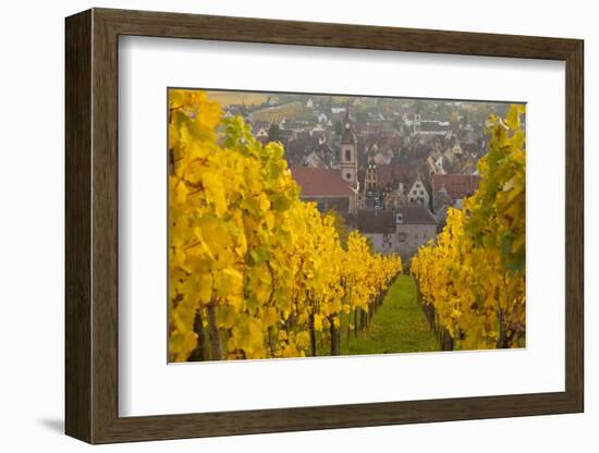 View of Riquewihr and Vineyards in Autumn, Riquewihr, Alsace, France, Europe-Miles Ertman-Framed Photographic Print