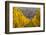 View of Riquewihr and Vineyards in Autumn, Riquewihr, Alsace, France, Europe-Miles Ertman-Framed Photographic Print