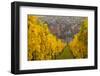 View of Riquewihr and Vineyards in Autumn, Riquewihr, Alsace, France, Europe-Miles Ertman-Framed Photographic Print