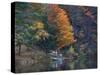 View of River and Forest in Early Autumn, Pittsfield, Massachusetts, USA-Massimo Borchi-Stretched Canvas