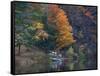 View of River and Forest in Early Autumn, Pittsfield, Massachusetts, USA-Massimo Borchi-Framed Stretched Canvas