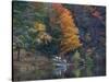 View of River and Forest in Early Autumn, Pittsfield, Massachusetts, USA-Massimo Borchi-Stretched Canvas