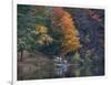 View of River and Forest in Early Autumn, Pittsfield, Massachusetts, USA-Massimo Borchi-Framed Photographic Print