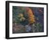 View of River and Forest in Early Autumn, Pittsfield, Massachusetts, USA-Massimo Borchi-Framed Photographic Print