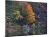 View of River and Forest in Early Autumn, Pittsfield, Massachusetts, USA-Massimo Borchi-Mounted Photographic Print