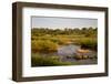 View of river flowing along edge of reserve, Sabie River, Lower Sabie Reserve, Kruger-Bob Gibbons-Framed Photographic Print