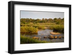 View of river flowing along edge of reserve, Sabie River, Lower Sabie Reserve, Kruger-Bob Gibbons-Framed Photographic Print