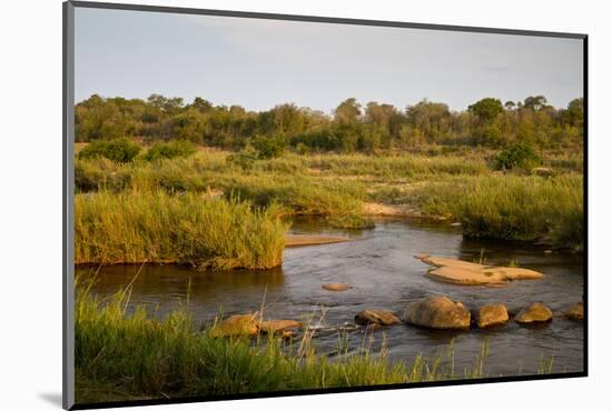 View of river flowing along edge of reserve, Sabie River, Lower Sabie Reserve, Kruger-Bob Gibbons-Mounted Photographic Print