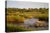 View of river flowing along edge of reserve, Sabie River, Lower Sabie Reserve, Kruger-Bob Gibbons-Stretched Canvas