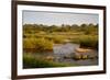 View of river flowing along edge of reserve, Sabie River, Lower Sabie Reserve, Kruger-Bob Gibbons-Framed Photographic Print