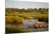 View of river flowing along edge of reserve, Sabie River, Lower Sabie Reserve, Kruger-Bob Gibbons-Mounted Photographic Print