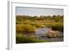 View of river flowing along edge of reserve, Sabie River, Lower Sabie Reserve, Kruger-Bob Gibbons-Framed Photographic Print