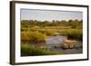 View of river flowing along edge of reserve, Sabie River, Lower Sabie Reserve, Kruger-Bob Gibbons-Framed Photographic Print