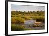 View of river flowing along edge of reserve, Sabie River, Lower Sabie Reserve, Kruger-Bob Gibbons-Framed Photographic Print