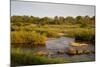 View of river flowing along edge of reserve, Sabie River, Lower Sabie Reserve, Kruger-Bob Gibbons-Mounted Photographic Print