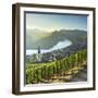 View of River Moselle, Bremm, Rhineland-Palatinate, Germany-Ian Trower-Framed Photographic Print